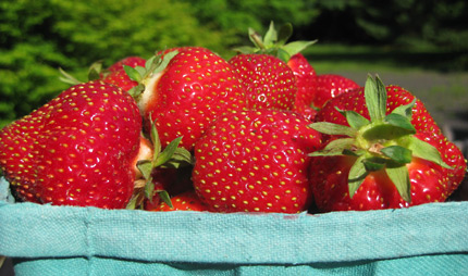 strawberries strawberries